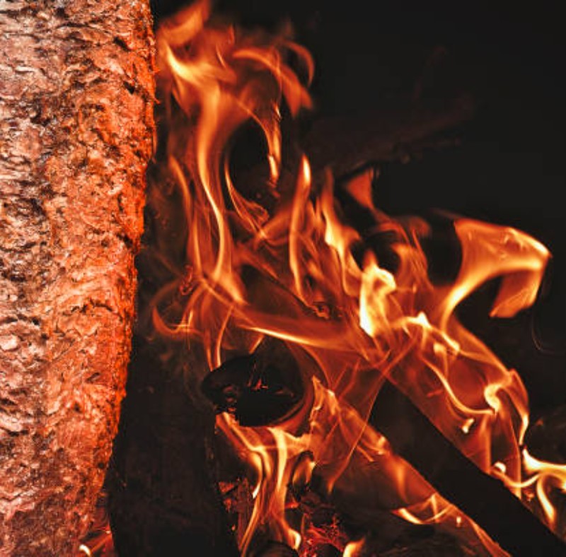 Dönerler / Doner Kebab